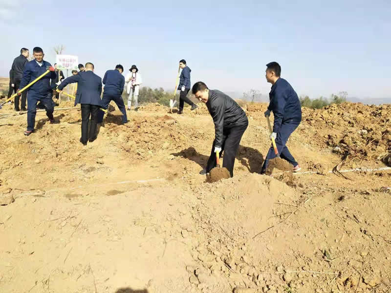 3.12植樹(shù)活動(dòng)