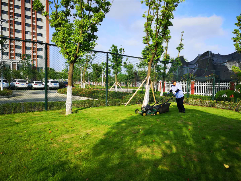 綠化養(yǎng)護(hù)-安中分校 -修剪推草