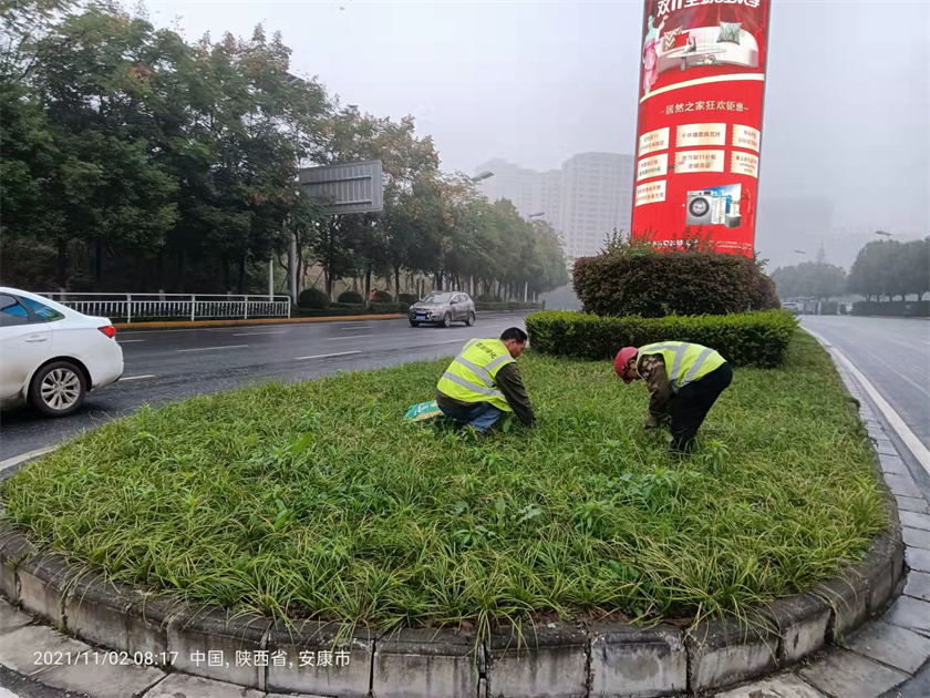 綠化養(yǎng)護(hù)-除草