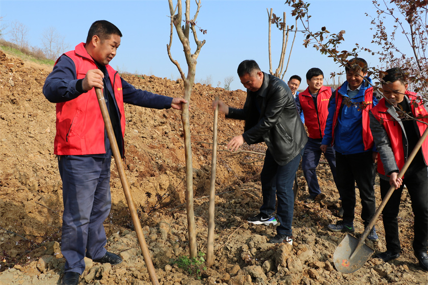 2021-3-12（義務(wù)值樹(shù)）